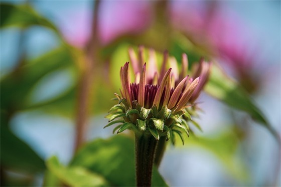 有关感悟人生的句子
