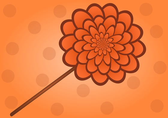 三月加油的句子