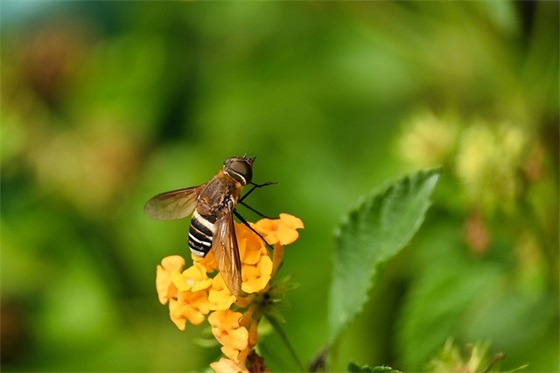 妈妈祝女儿生日句子 妈妈祝女儿生日句子一岁