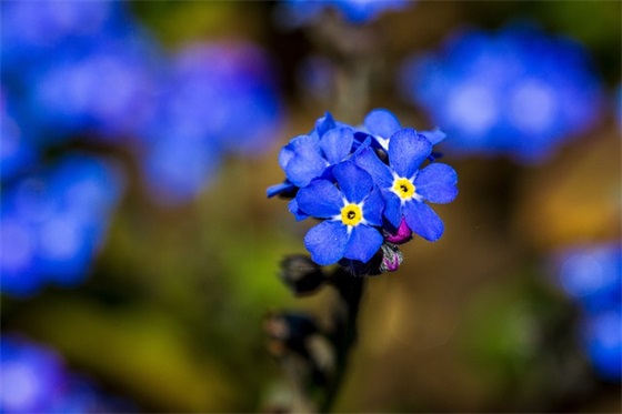 好文案话就够了 一发就会被秒赞的句子