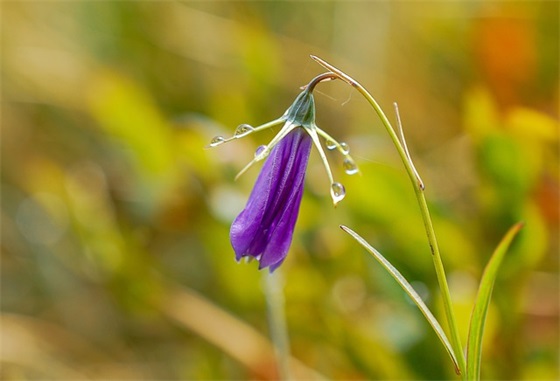 描写交通便利的句子20句