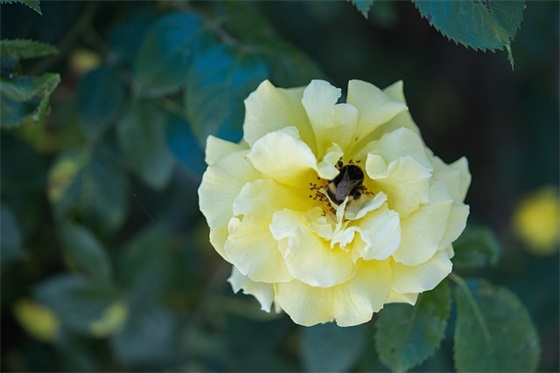让人醍醐灌顶的句子 那些让人醍醐灌顶的话