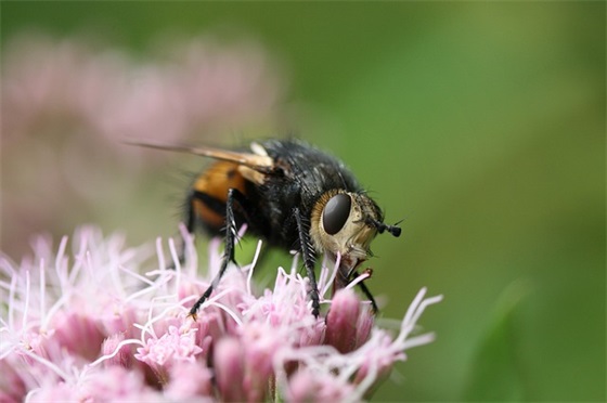 文案句子搞笑短句(搞笑的文案短句)
