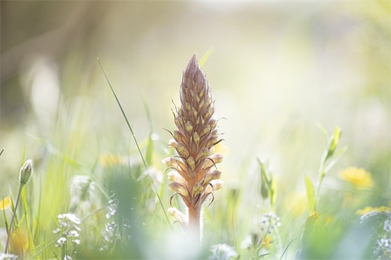 有诚意的道歉句子 表达诚恳道歉的语句