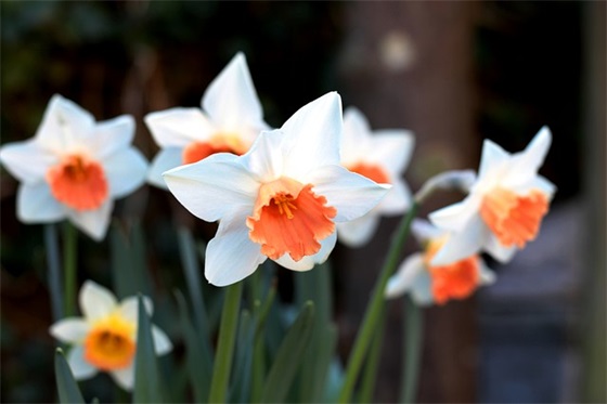 至闺蜜生日快乐的句子 祝闺蜜生日快乐知 简单