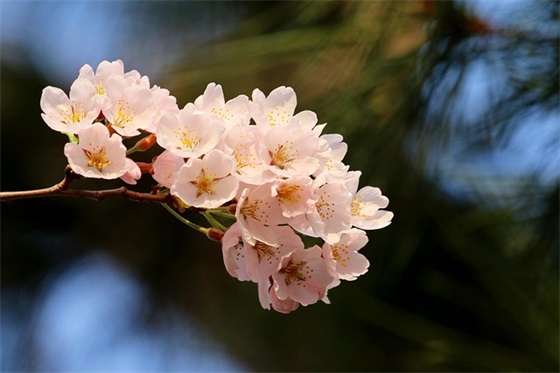 运动会加油的句子