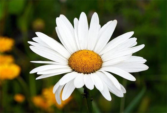 暗示讨厌人的句子