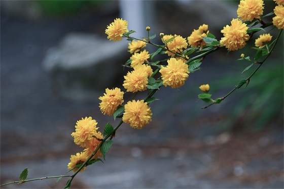 你要照顾好自己的句子