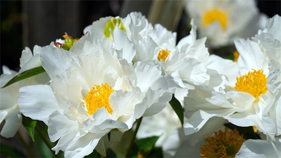 很短但深入人心的爱情句子 有深度的爱情句子