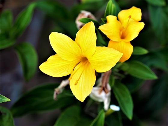 同事出去旅游玩的开心的句子