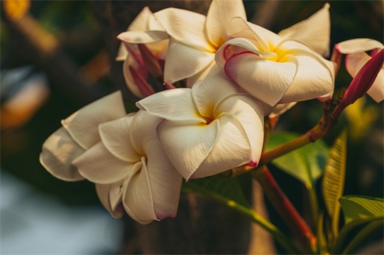 赞美人与自然共生的句子(人与自然和谐相处的感悟)