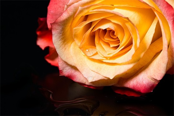 简单的优美伤感句子摘录