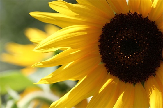 夸男人优秀的句子