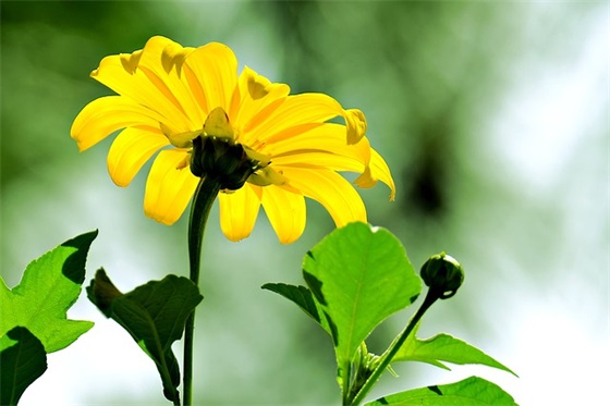 描写卷卷头发的句子 描写头发的句子