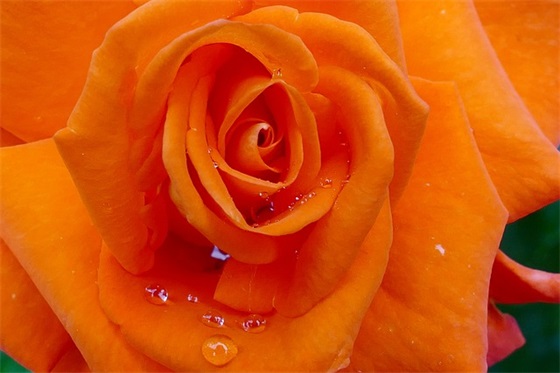 毕业季煽情文案 毕业哭到爆的句子