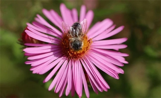 毕业离别的文艺短句子大全