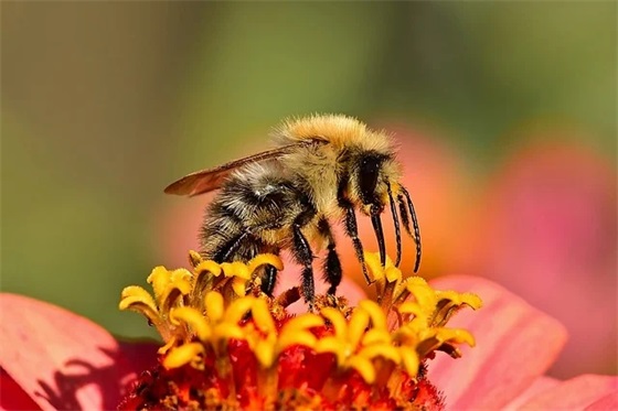 让闺蜜感动到哭的留言句子
