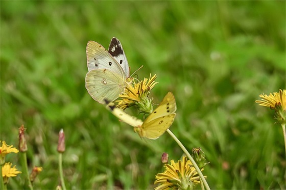一定照顾好自己的句子 余生照顾好自己的句子