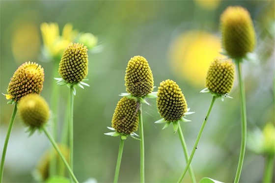 人生感悟的美文美句 关于人生的优美古风句子