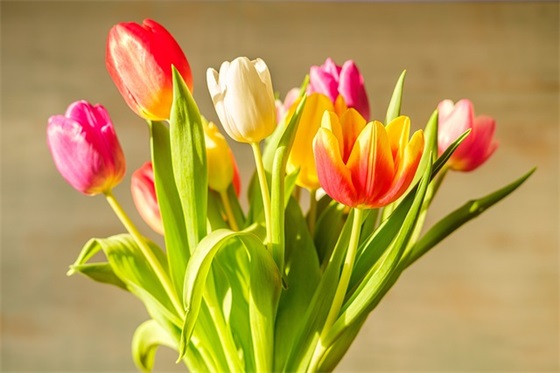 一发就会被秒赞的句子抖音(高情商发圈被秒赞的句子)