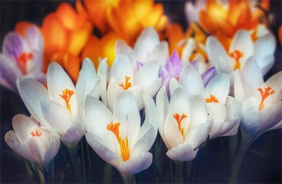 高质量文案句子 高质量细节文案短句