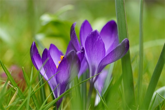 早安短句励志文案 适合清晨发的句子