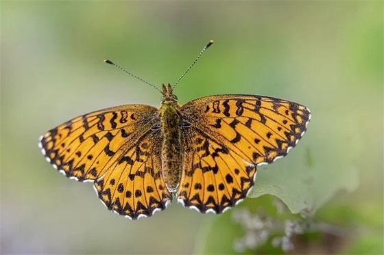 祝愿未来可期的句子 未来可期的句子简短