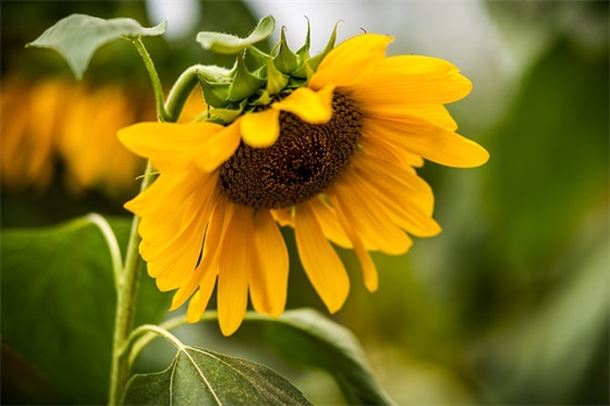 知心朋友难得的句子 珍惜友谊的简短句子