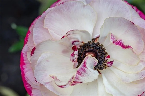 最打动人心的励志句子