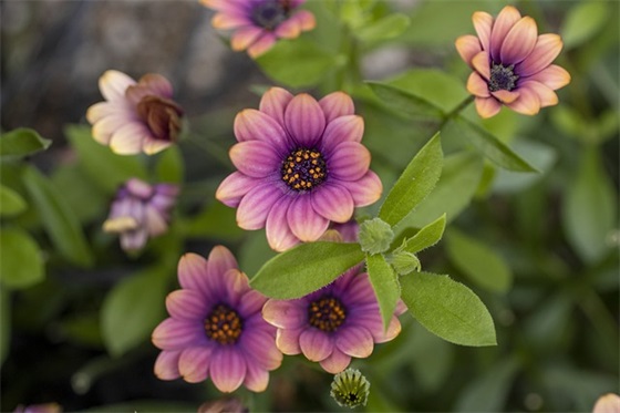 下雨感悟人生的句子