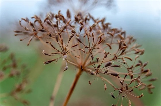 关于爱情的句子简短