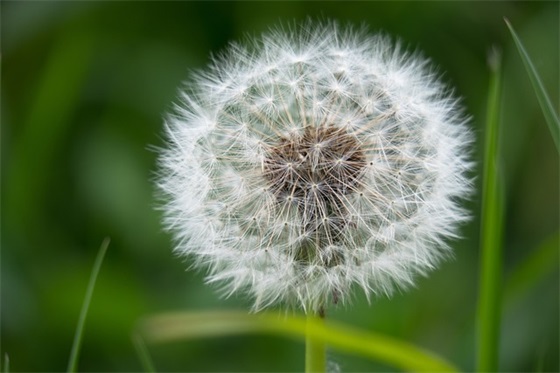 煽情的句子爱情