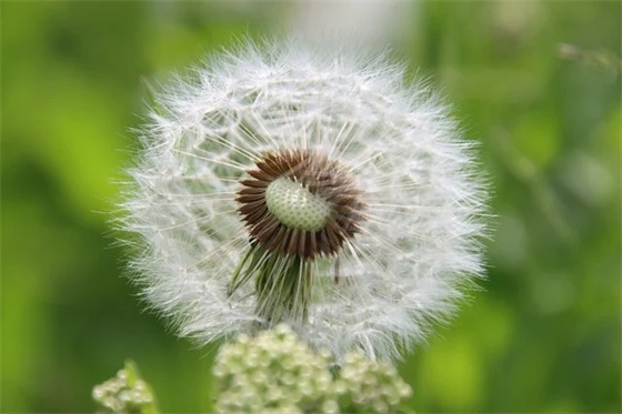 一些激励人心的句子