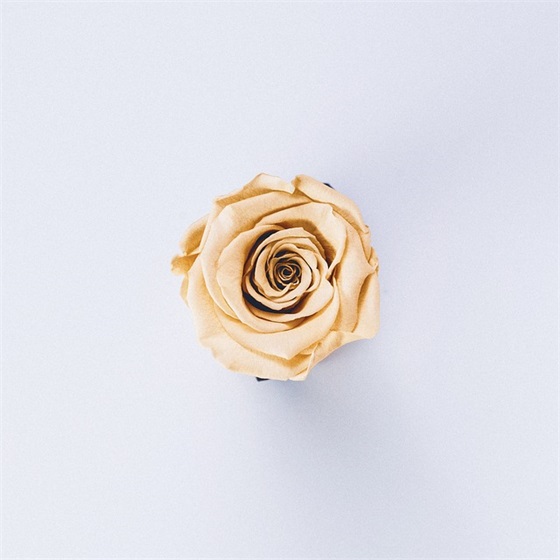 施工安全四字标语41句