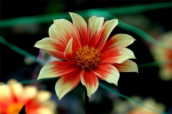 中考百日誓师教师口号 中考百日誓师口号八字