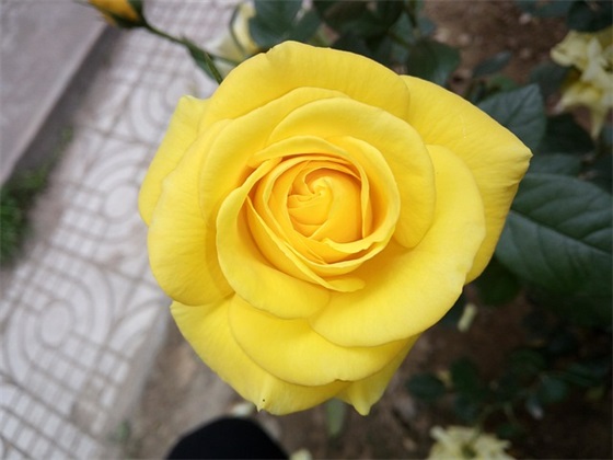 加油站销售口号 加油站励志口号