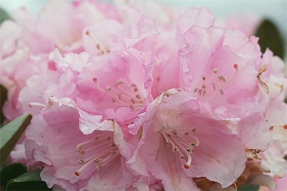 秋季运动会学生霸气口号精选 秋季运动会学生霸气口号精选