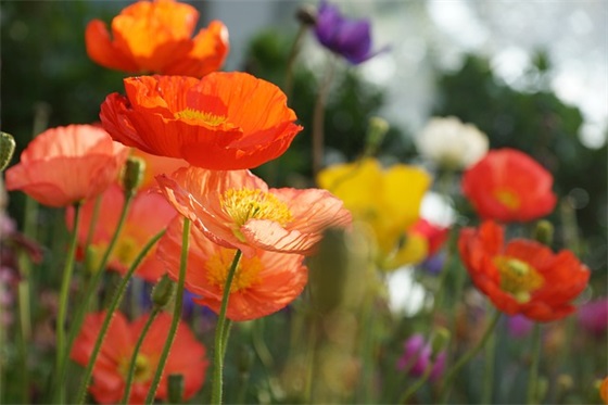 2026垃圾分类新时尚标语大全 2026垃圾分类新时尚标语大全