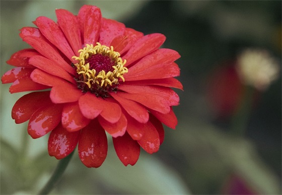 篮球比赛霸气押韵的口号大全(篮球比赛口号霸气押韵)