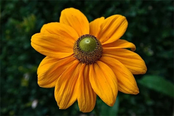 学校庆元旦标语34句 学校庆元旦标语34句