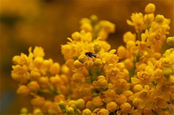 奔驰广告标语 奔驰e300l广告语