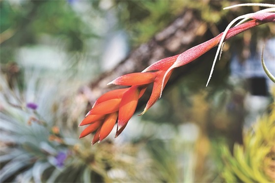 运动会八字口号简短押韵 运动会八字口号