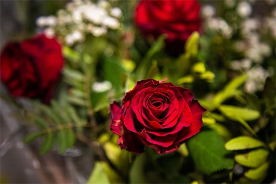 关爱女性健康的标语