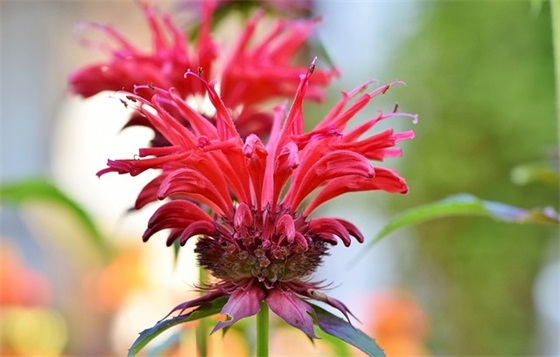 父亲节口号36句