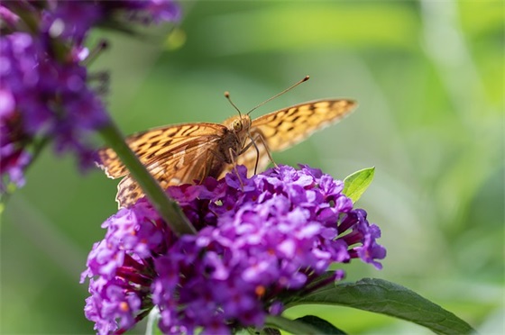 初三励志标语短句八字 初三励志标语简短有力