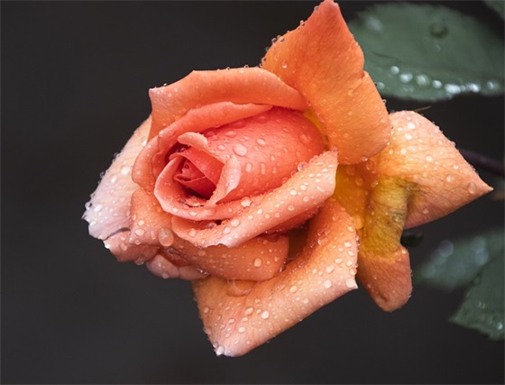 妇产科宣传口号 妇科宣传口号