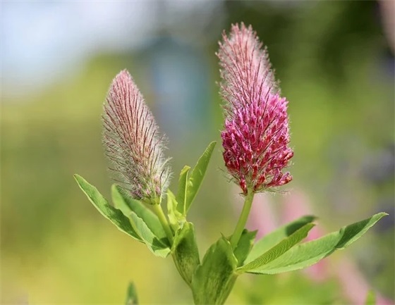 西施故里诸暨旅游形象口号 西施故里诸暨