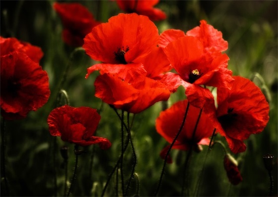 全国防灾减灾日宣传标语