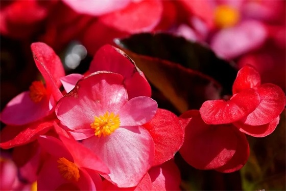 中国航天日宣传标语 中国航天宣传标语