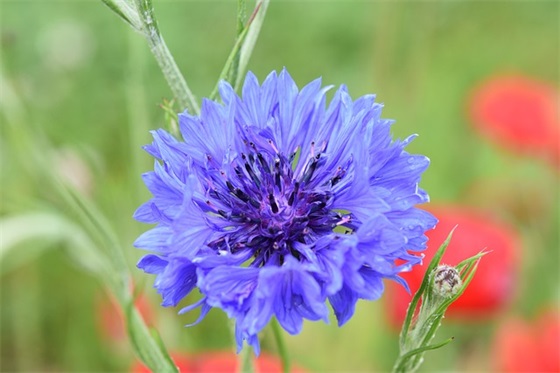 比赛口号霸气押韵演讲54句